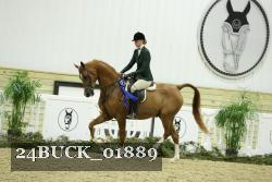 24BUCK_01889 proof