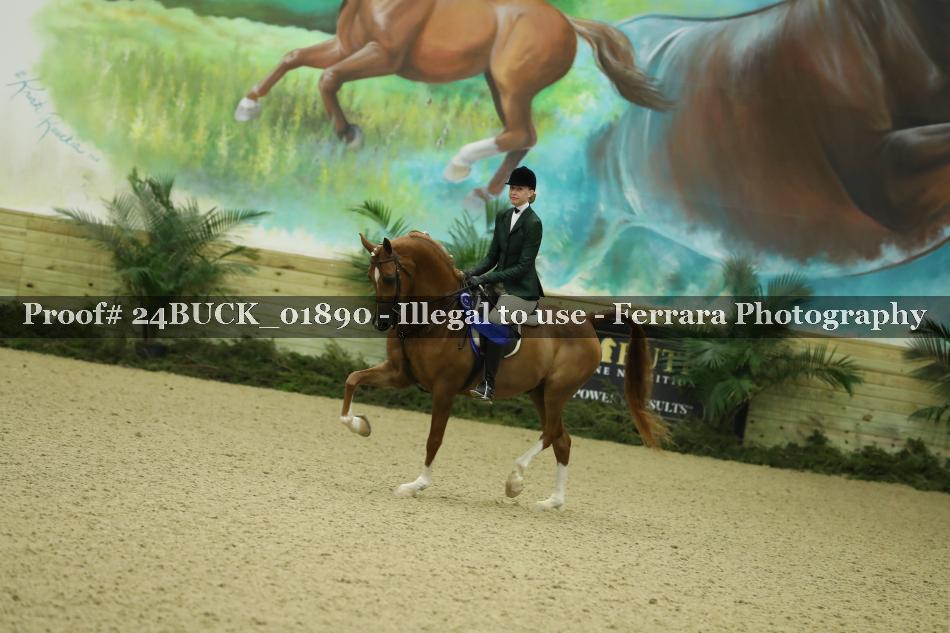 Proof 24BUCK_01890
