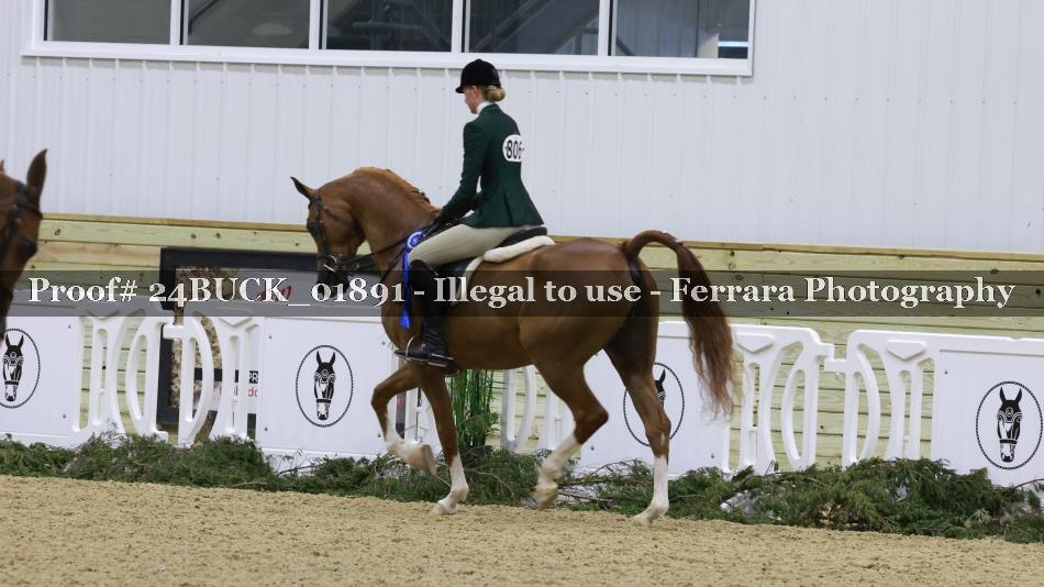 Proof 24BUCK_01891
