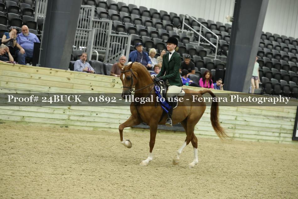 Proof 24BUCK_01892
