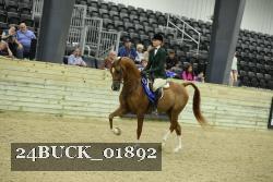 24BUCK_01892 proof