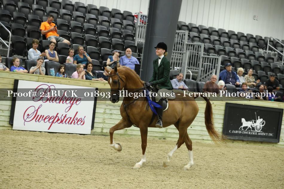 Proof 24BUCK_01893