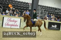 24BUCK_01893 proof