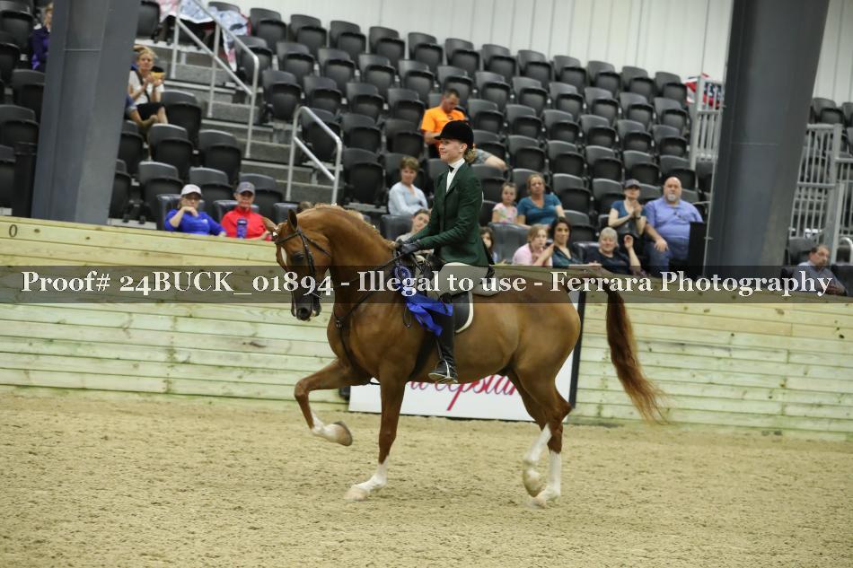 Proof 24BUCK_01894