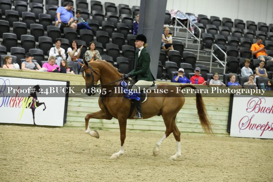 Proof 24BUCK_01895