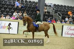 24BUCK_01895 proof