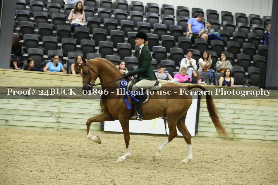 Proof 24BUCK_01896