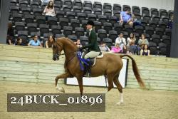 24BUCK_01896 proof