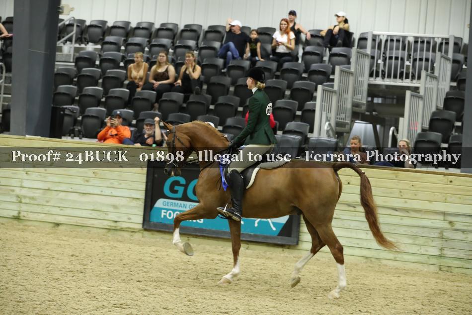 Proof 24BUCK_01898