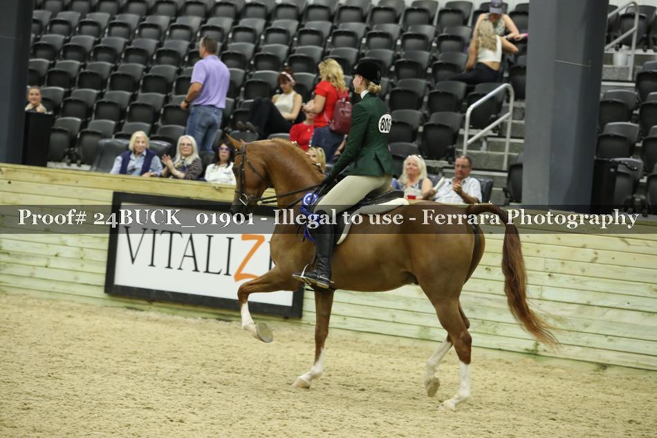 Proof 24BUCK_01901