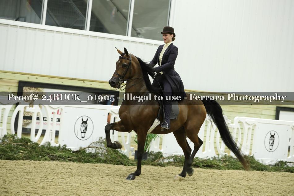 Proof 24BUCK_01905