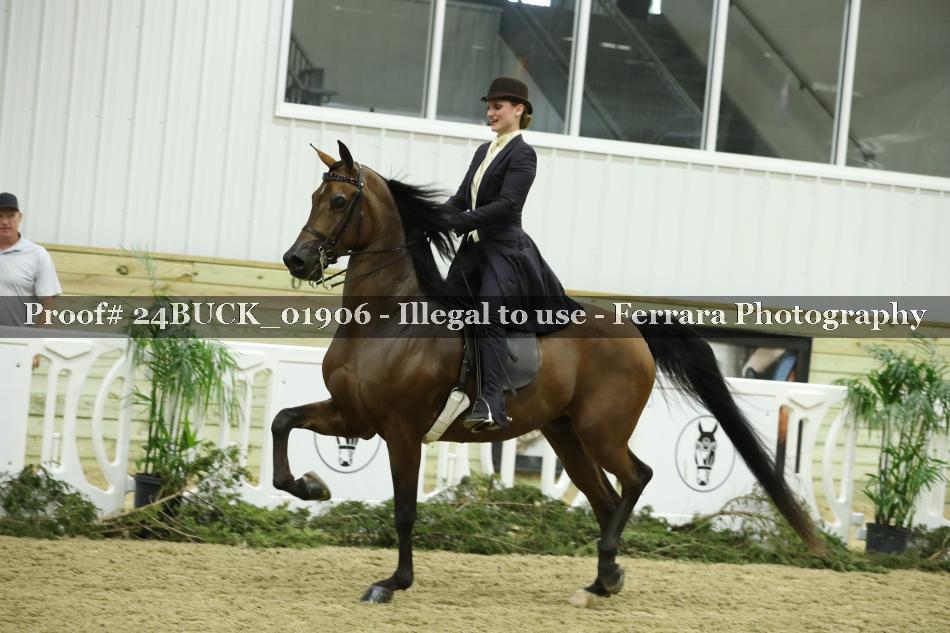Proof 24BUCK_01906