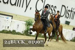 24BUCK_01907 proof