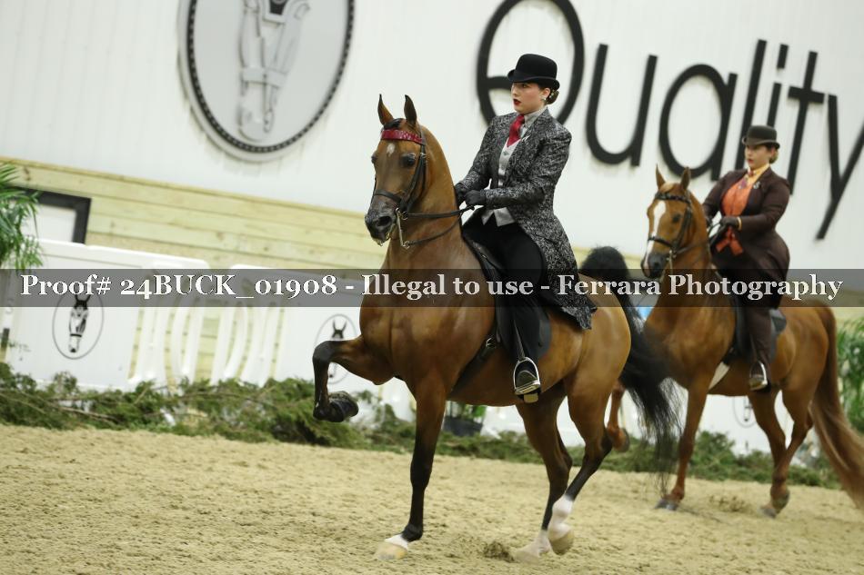 Proof 24BUCK_01908