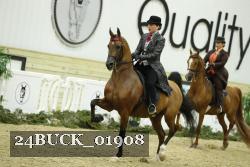 24BUCK_01908 proof