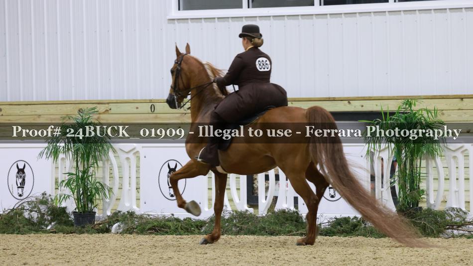 Proof 24BUCK_01909