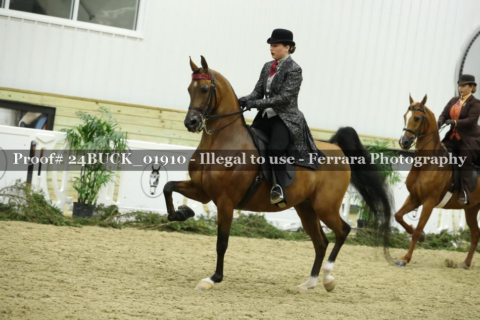 Proof 24BUCK_01910