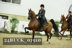 24BUCK_01910 proof