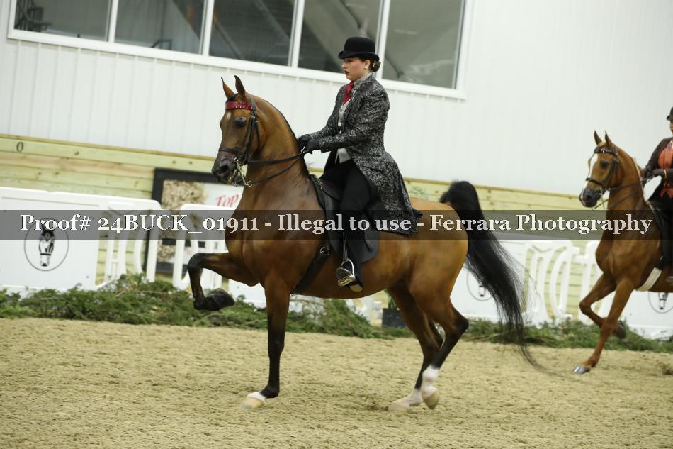 Proof 24BUCK_01911