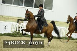 24BUCK_01911 proof