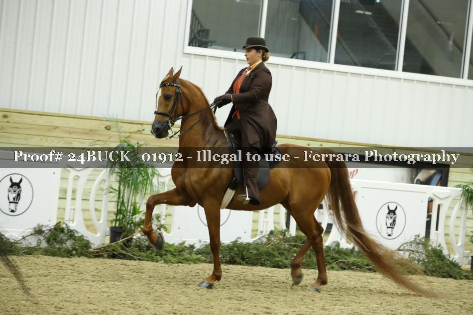 Proof 24BUCK_01912