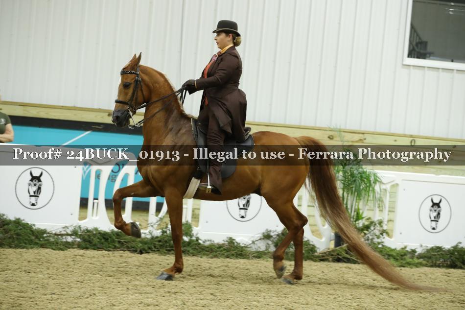 Proof 24BUCK_01913