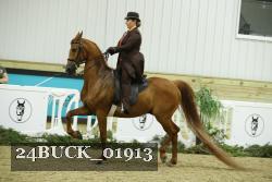 24BUCK_01913 proof