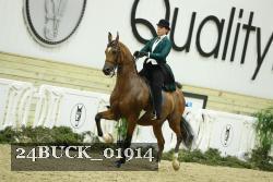 24BUCK_01914 proof