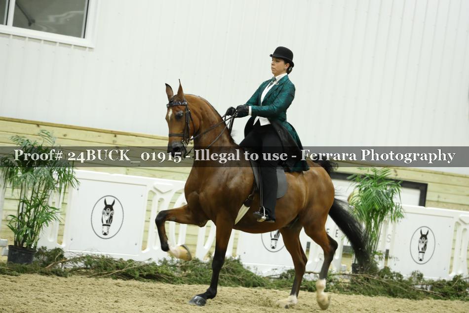 Proof 24BUCK_01915