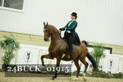 24BUCK_01915 proof