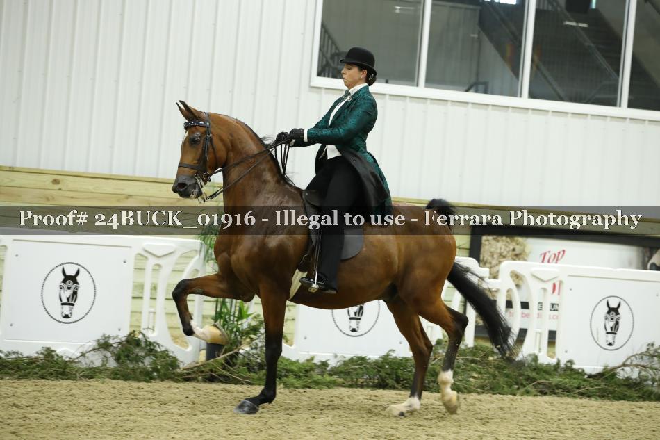 Proof 24BUCK_01916