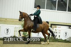 24BUCK_01916 proof