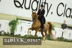 24BUCK_01917 proof