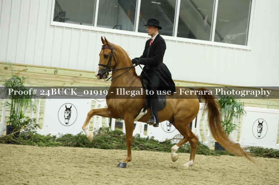 Proof 24BUCK_01919