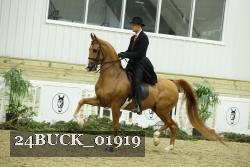 24BUCK_01919 proof
