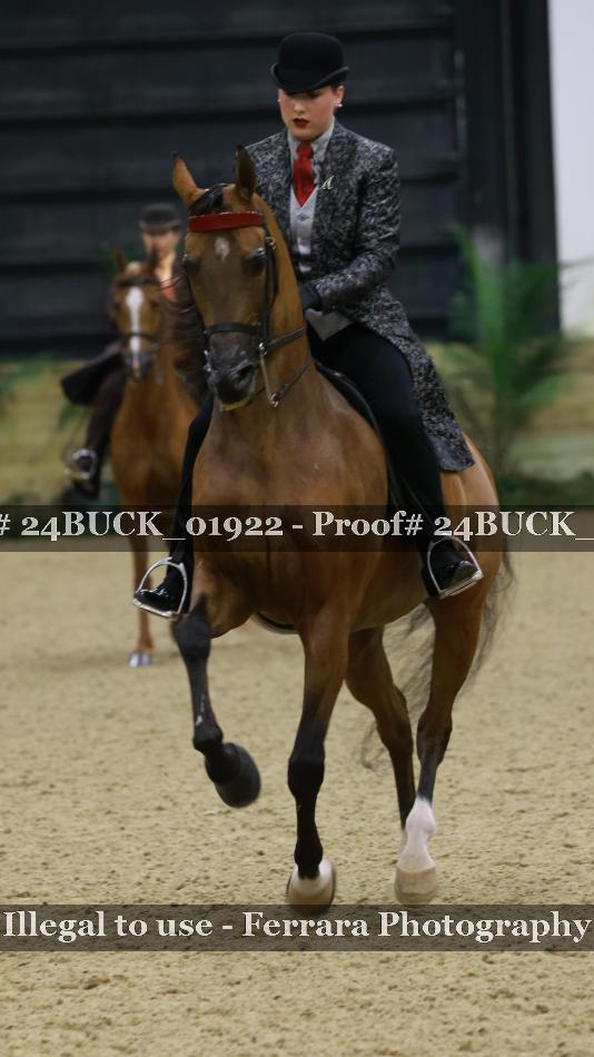 Proof 24BUCK_01922