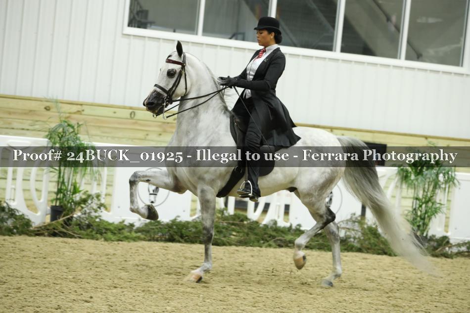Proof 24BUCK_01925