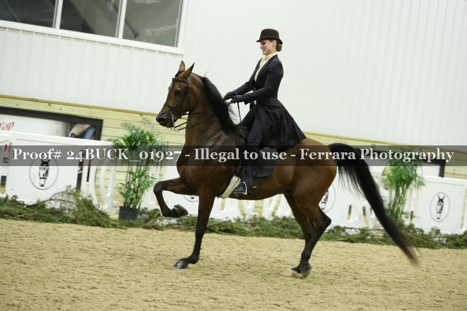 Proof 24BUCK_01927