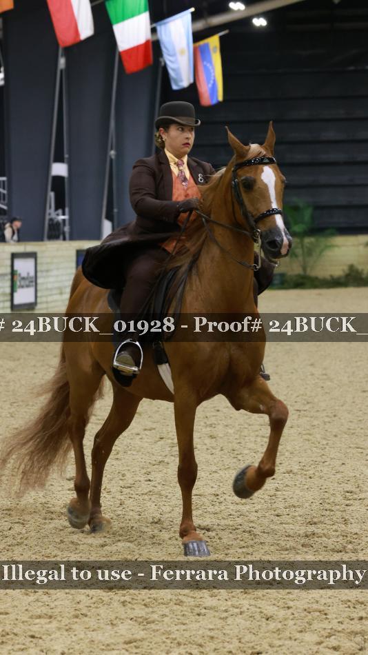 Proof 24BUCK_01928
