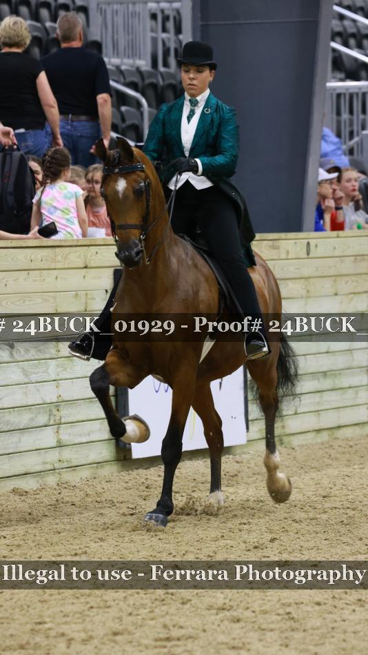 Proof 24BUCK_01929