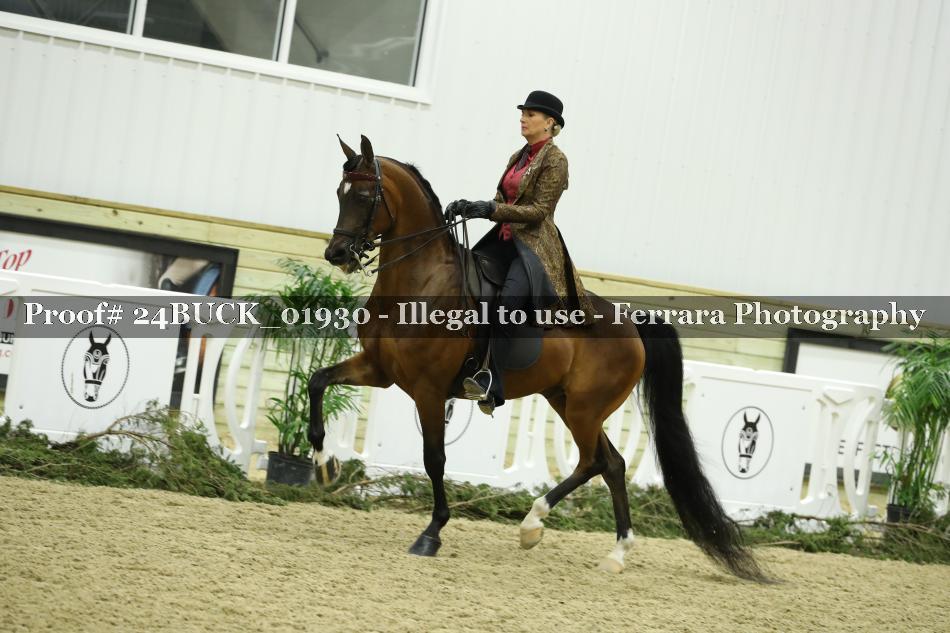 Proof 24BUCK_01930