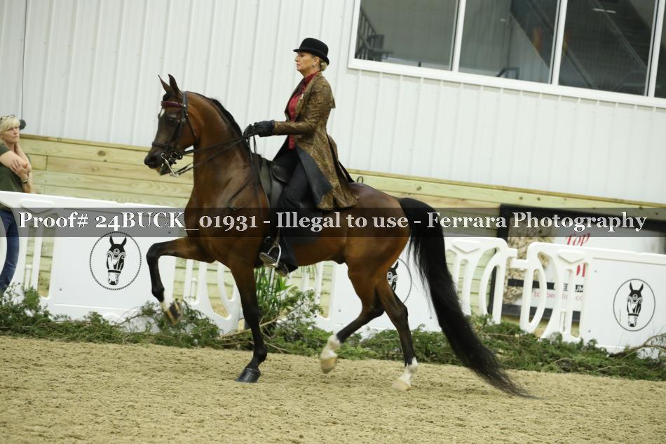 Proof 24BUCK_01931