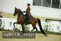 24BUCK_01931 proof