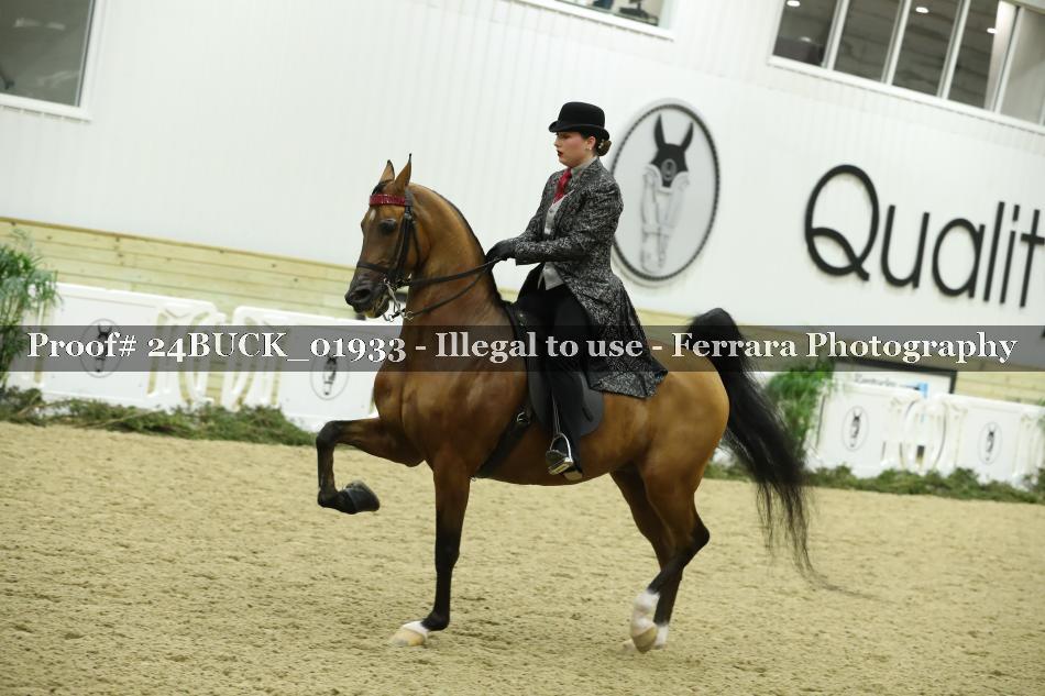 Proof 24BUCK_01933