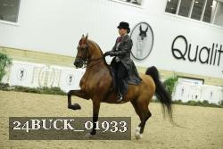 24BUCK_01933 proof