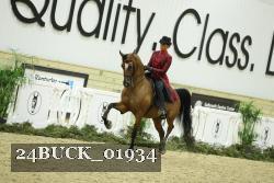 24BUCK_01934 proof