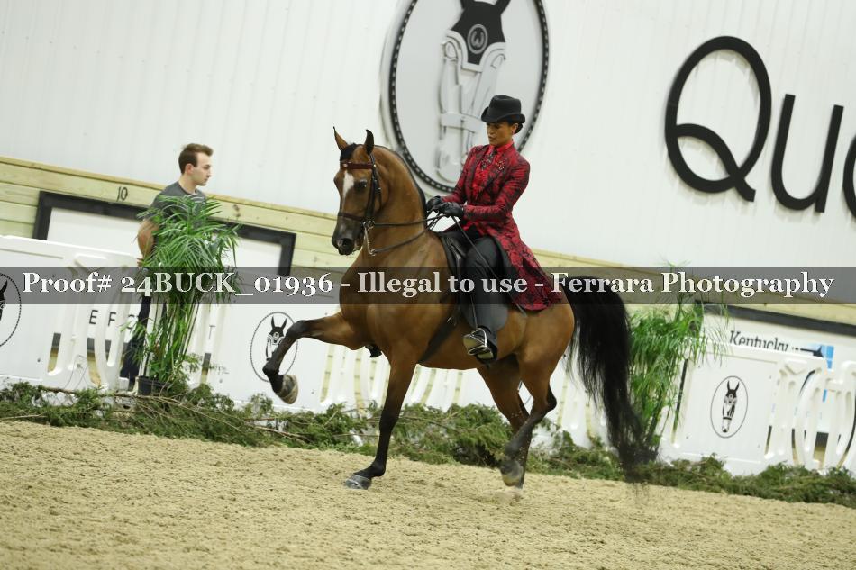 Proof 24BUCK_01936