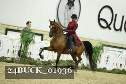 24BUCK_01936 proof