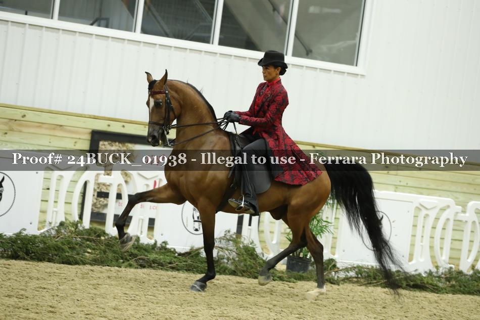 Proof 24BUCK_01938
