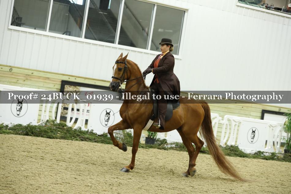 Proof 24BUCK_01939